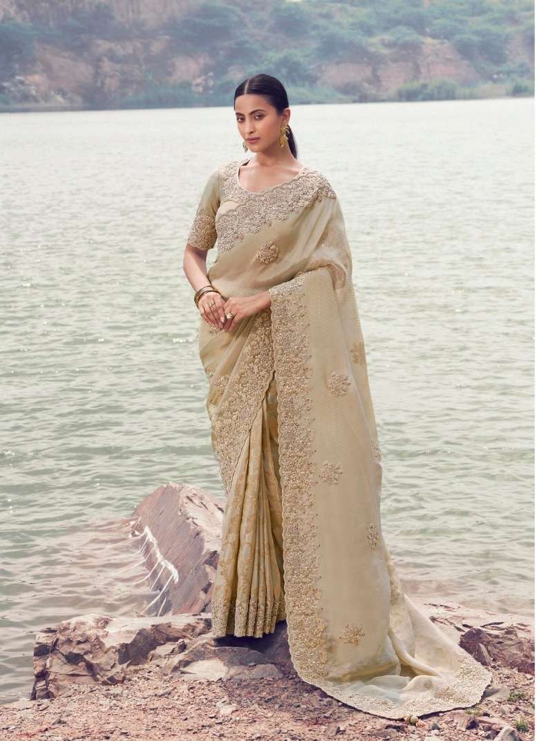 DESIGNER PARTY WEAR HEAVY SILK CHIKU SAREE WITH SEQUENCE BEAD WORK COLLECTION SM SULAKSHMI 8602